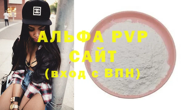индика Бронницы