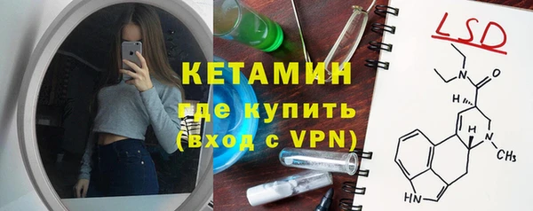 индика Бронницы