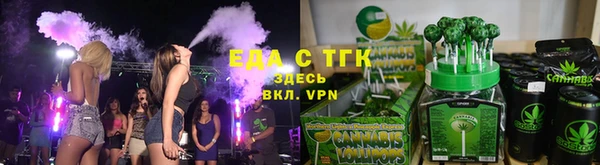 индика Бронницы