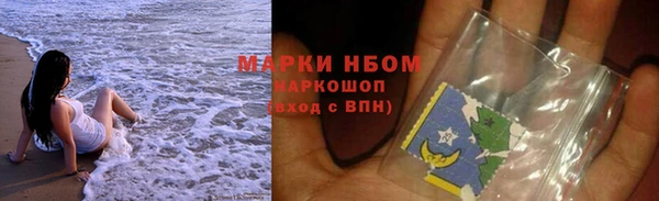 индика Бронницы