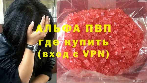 спайс Бородино