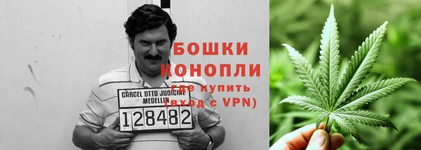 спайс Бородино
