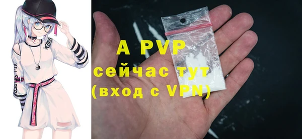 спайс Бородино