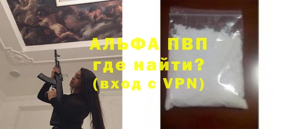 индика Бронницы