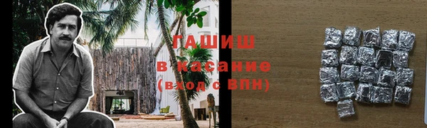 индика Бронницы