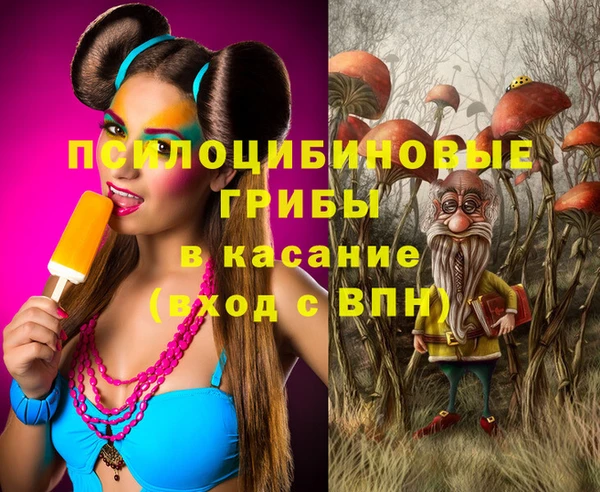 спайс Бородино