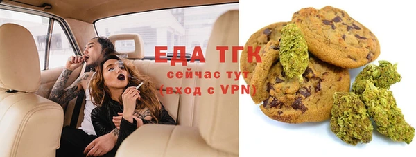 индика Бронницы