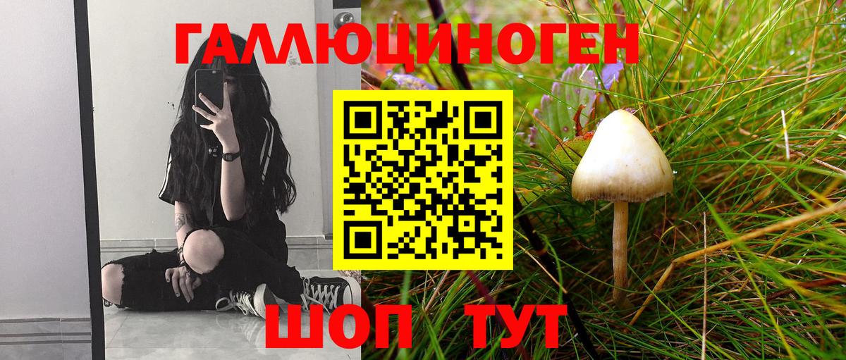 Псилоцибиновые грибы мухоморы Можайск