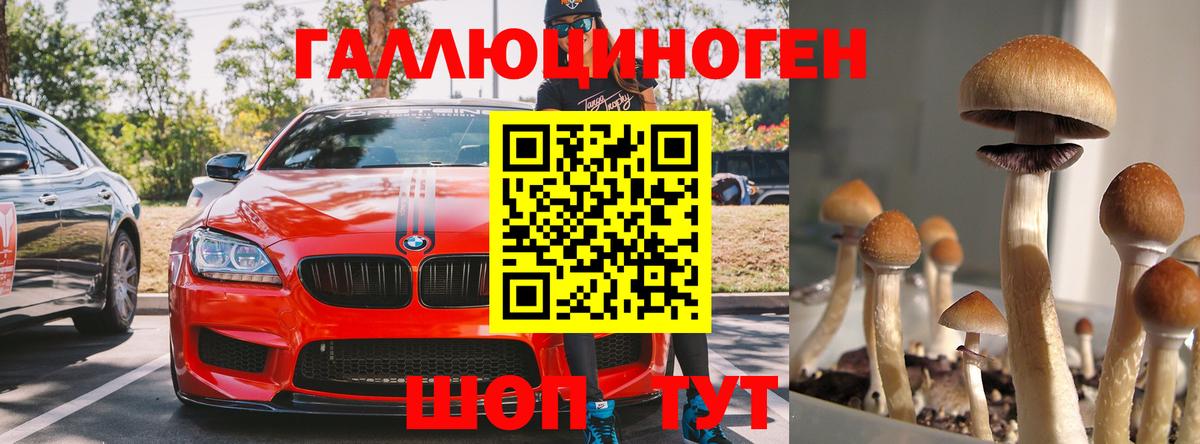 Можайск  Галлюциногенные грибы Psilocybine cubensis  Псилоцибиновые грибы мицелий  Вход с VPN 
